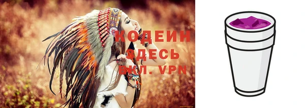 мдпв Верея