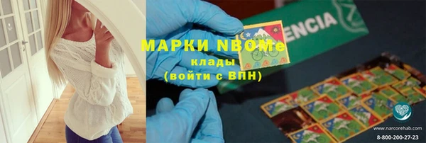мдпв Верея