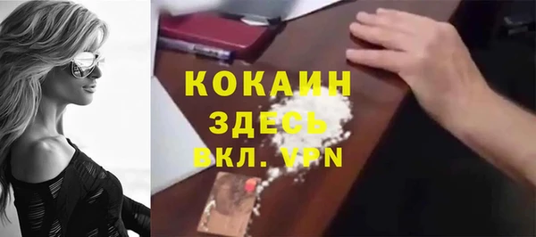 ГАЛЛЮЦИНОГЕННЫЕ ГРИБЫ Бородино