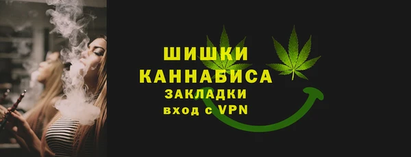 мдпв Верея