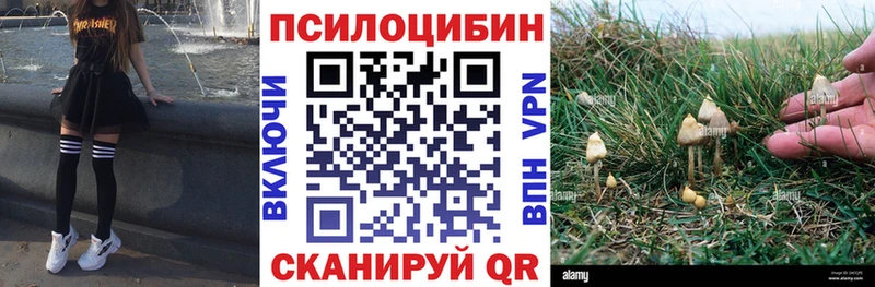 даркнет сайт  Можайск  Псилоцибиновые грибы Magic Shrooms 